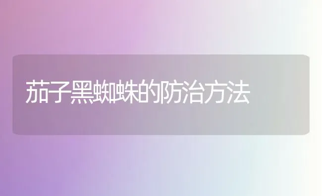茄子黑蜘蛛的防治方法 | 蔬菜种植