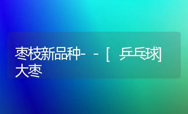 枣枝新品种--[乒乓球]大枣 | 瓜果种植