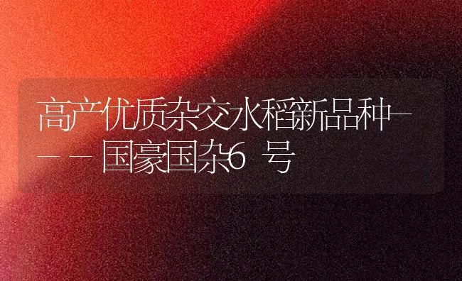 春季大棚菜 管理往这看 | 蔬菜种植