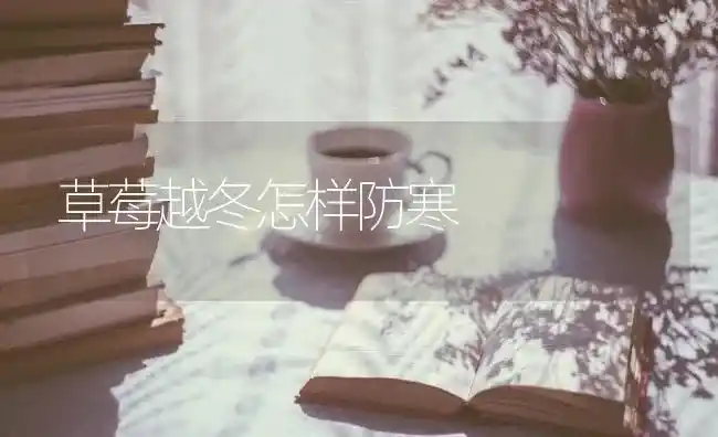 草莓越冬怎样防寒 | 瓜果种植