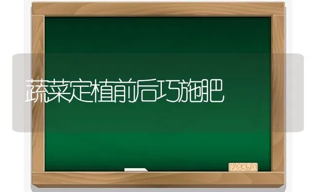 蔬菜定植前后巧施肥 | 蔬菜种植