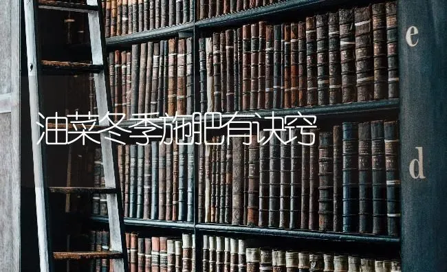 油菜冬季施肥有诀窍 | 粮油作物种植