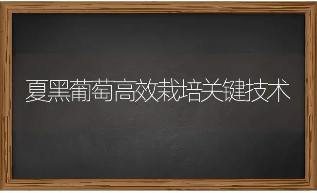 夏黑葡萄高效栽培关键技术 | 瓜果种植