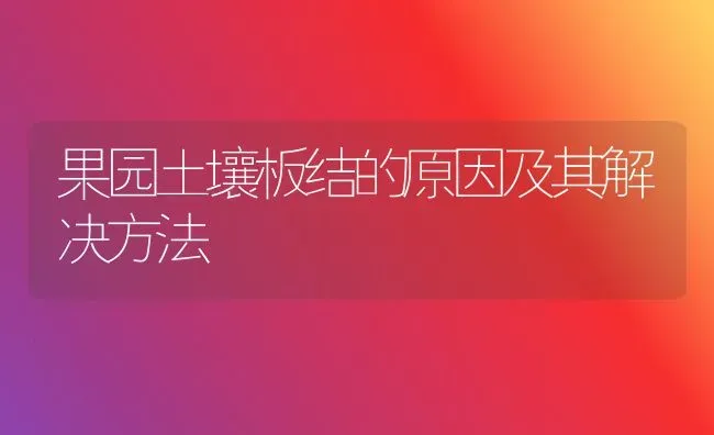 果园土壤板结的原因及其解决方法 | 瓜果种植