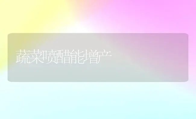 蔬菜喷醋能增产 | 蔬菜种植