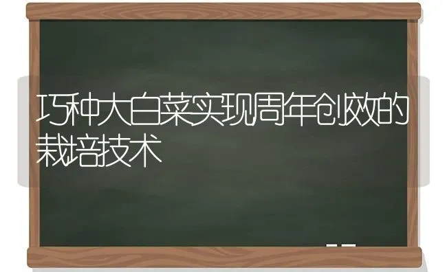 巧种大白菜实现周年创效的栽培技术 | 蔬菜种植