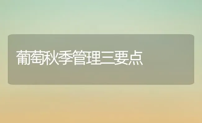 葡萄秋季管理三要点 | 瓜果种植