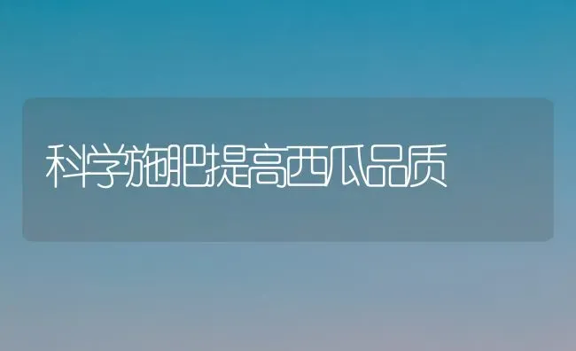 科学施肥提高西瓜品质 | 种植肥料施肥