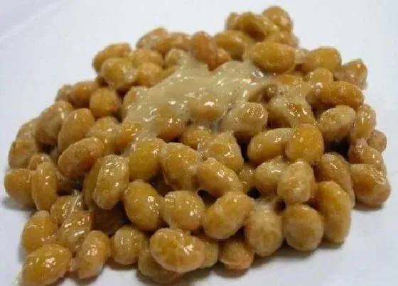 食用须知|纳豆是什么东西做成的（纳豆是什么豆子做出来的）