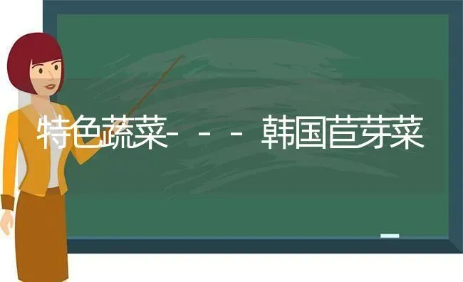 特色蔬菜---韩国苣芽菜 | 蔬菜种植
