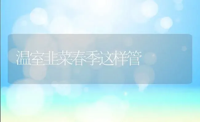 温室韭菜春季这样管 | 蔬菜种植