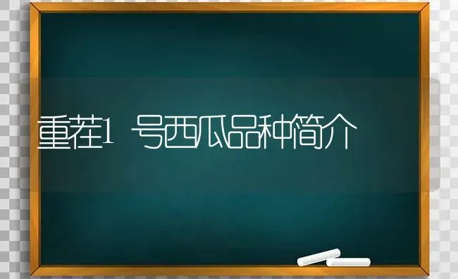 重茬1号西瓜品种简介 | 瓜果种植