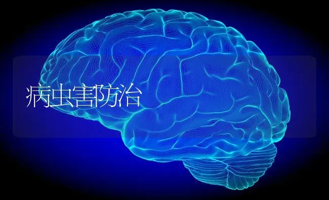病虫害防治 | 种植病虫害防治