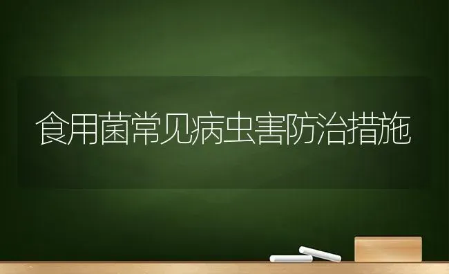 食用菌常见病虫害防治措施 | 种植病虫害防治