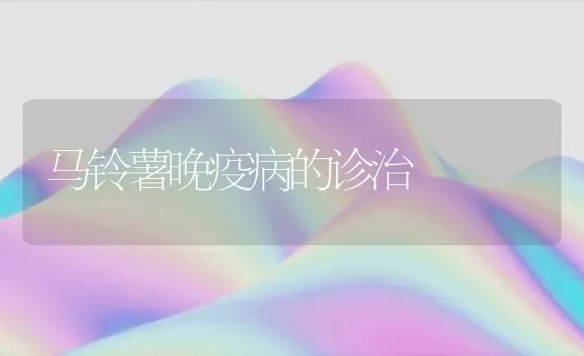 马铃薯晚疫病的诊治 | 粮油作物种植