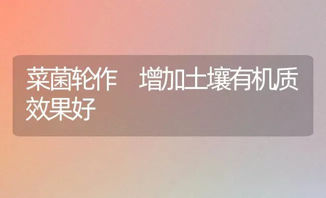 菜菌轮作 增加土壤有机质效果好 | 瓜果种植