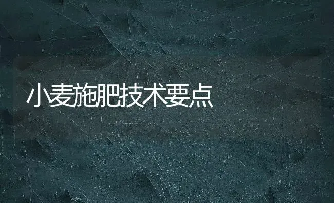 小麦施肥技术要点 | 粮油作物种植