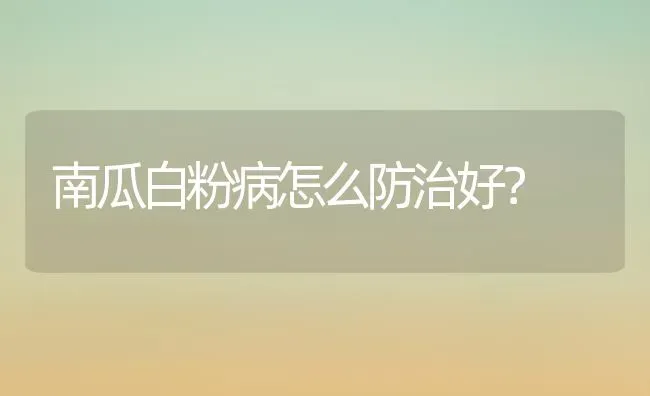 南瓜白粉病怎么防治好？ | 蔬菜种植