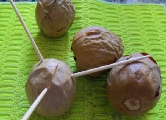 食用须知|牛油果种子可以吃吗