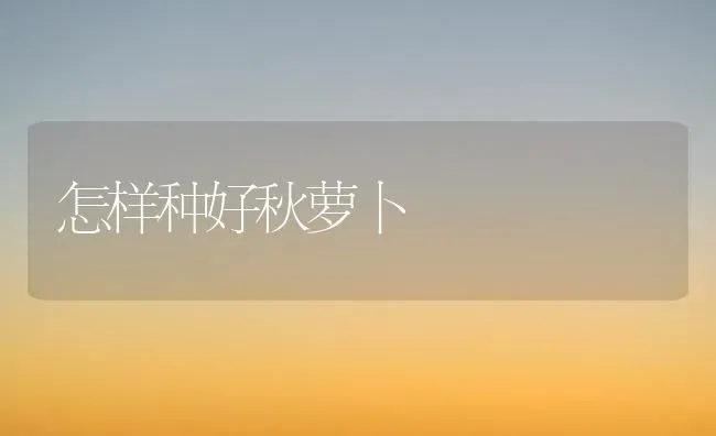 怎样种好秋萝卜 | 蔬菜种植