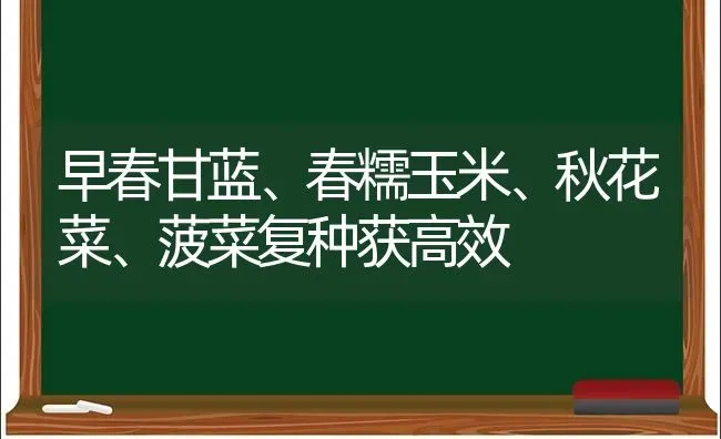 早春甘蓝、春糯玉米、秋花菜、菠菜复种获高效 | 粮油作物种植