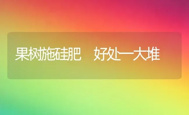 果树施硅肥 好处一大堆 | 瓜果种植