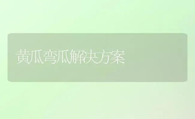 黄瓜弯瓜解决方案 | 蔬菜种植