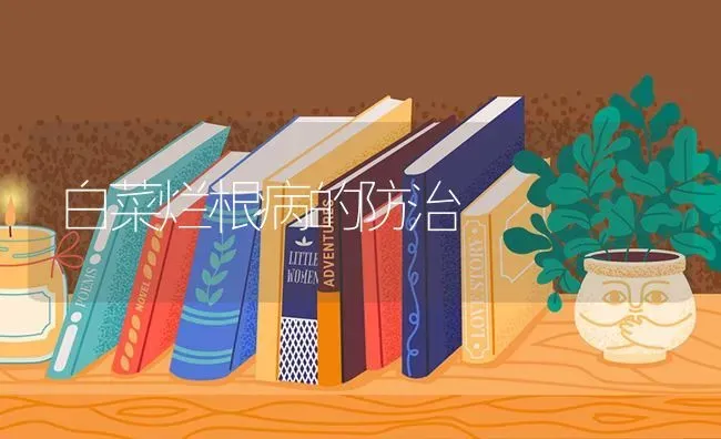 白菜烂根病的防治 | 蔬菜种植