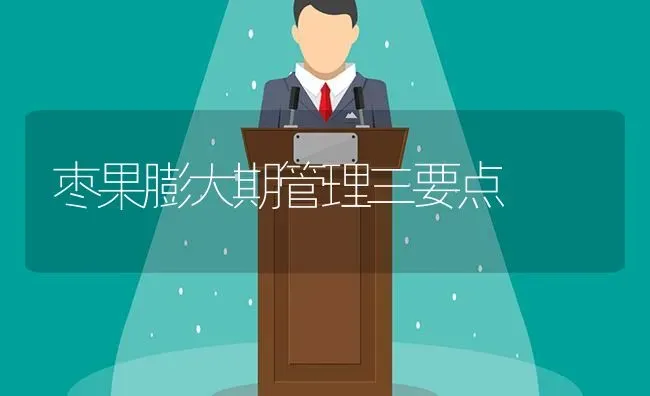 枣果膨大期管理三要点 | 瓜果种植