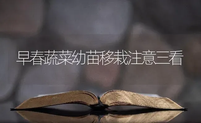 早春蔬菜幼苗移栽注意三看 | 蔬菜种植