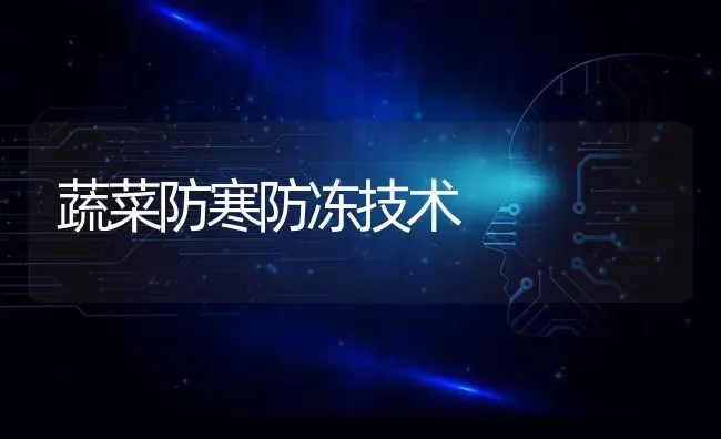 蔬菜防寒防冻技术 | 蔬菜种植