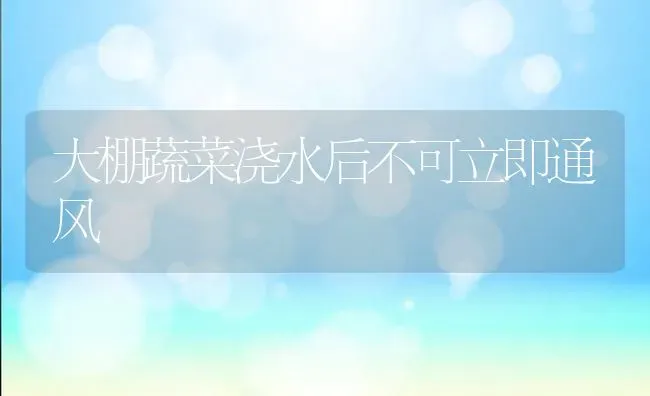 大棚蔬菜浇水后不可立即通风 | 蔬菜种植
