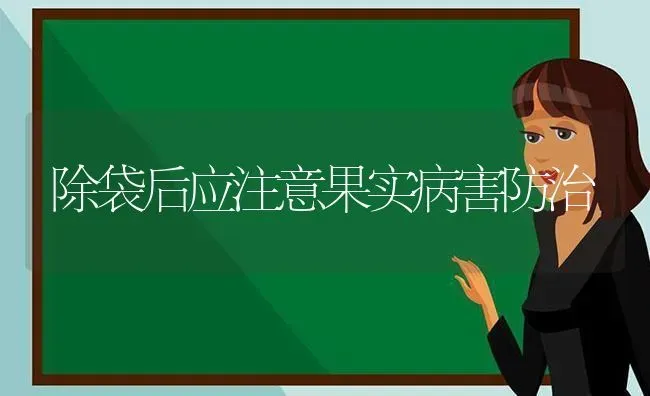 除袋后应注意果实病害防治 | 瓜果种植