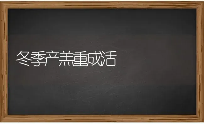 冬季产羔重成活 | 瓜果种植