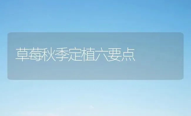 草莓秋季定植六要点 | 瓜果种植