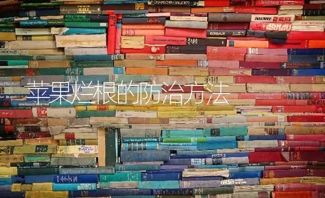 苹果烂根的防治方法 | 瓜果种植