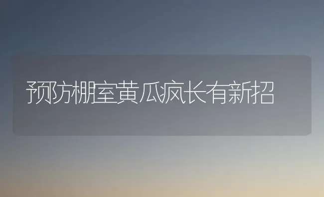 预防棚室黄瓜疯长有新招 | 蔬菜种植