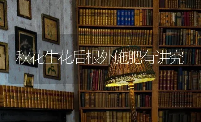 秋花生花后根外施肥有讲究 | 种植肥料施肥