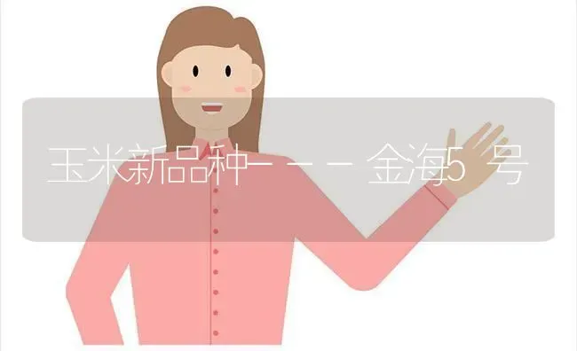 玉米新品种---金海5号 | 粮油作物种植
