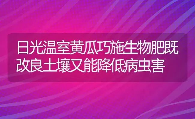 日光温室黄瓜巧施生物肥既改良土壤又能降低病虫害 | 种植病虫害防治