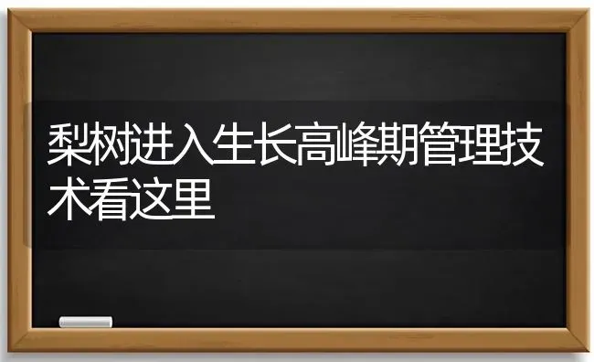 梨树进入生长高峰期管理技术看这里 | 瓜果种植