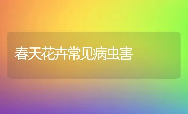 春天花卉常见病虫害 | 种植病虫害防治
