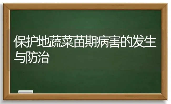 保护地蔬菜苗期病害的发生与防治 | 蔬菜种植