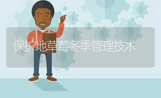 保护地草莓冬季管理技术 | 瓜果种植