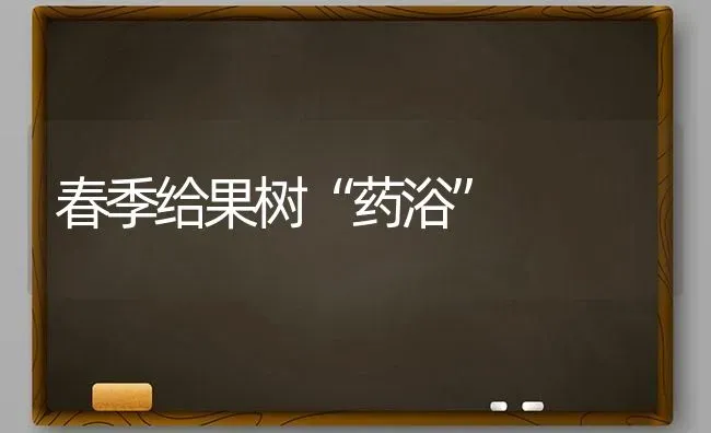 春季给果树“药浴” | 瓜果种植