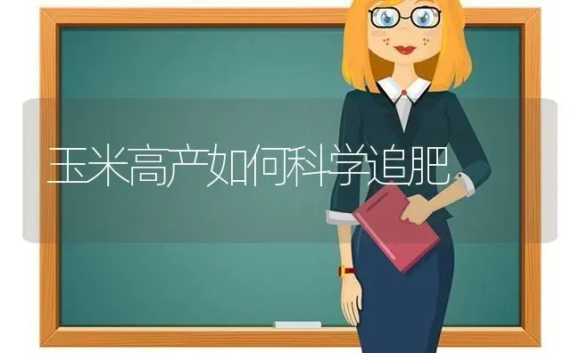 玉米高产如何科学追肥 | 粮油作物种植