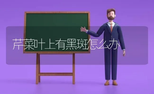 芹菜叶上有黑斑怎么办 | 蔬菜种植