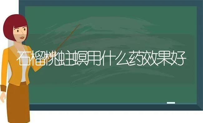石榴桃蛀螟用什么药效果好 | 瓜果种植
