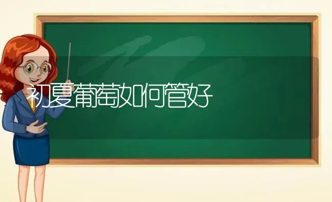 初夏葡萄如何管好 | 瓜果种植