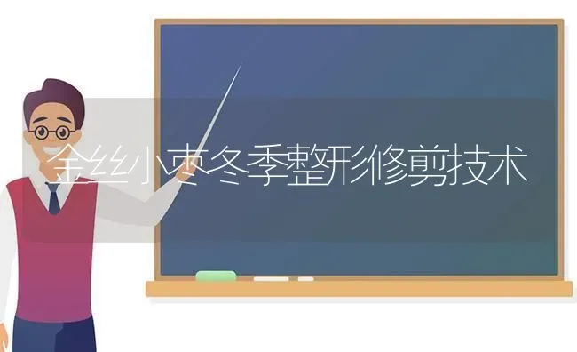 金丝小枣冬季整形修剪技术 | 瓜果种植